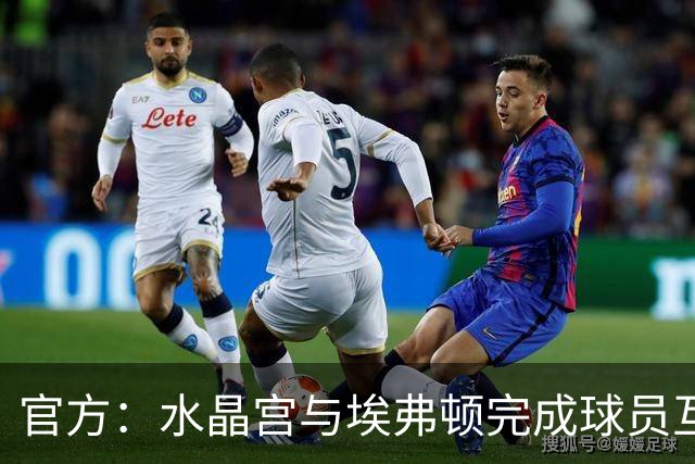 官方：水晶宫与埃弗顿完成球员互换交易，签下麦克尼尔