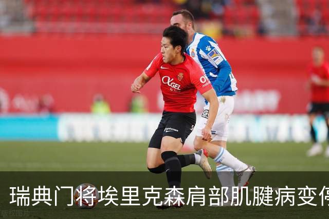 瑞典门将埃里克森肩部肌腱病变停训，桑坦德竞技启用B队门将