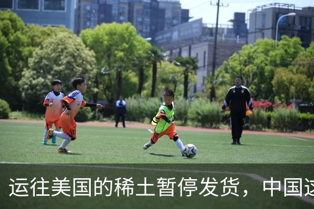 运往美国的稀土暂停发货，中国这招叫以其人之道，还治其人之身